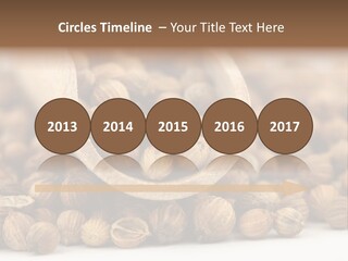 Spice Close Up Coriander PowerPoint Template