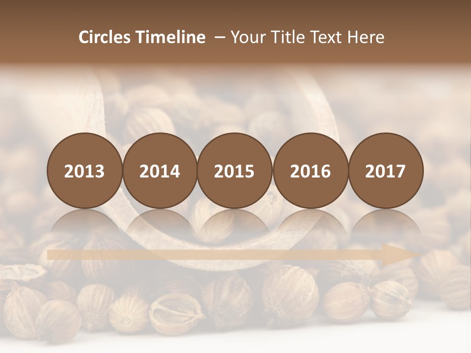 Spice Close Up Coriander PowerPoint Template