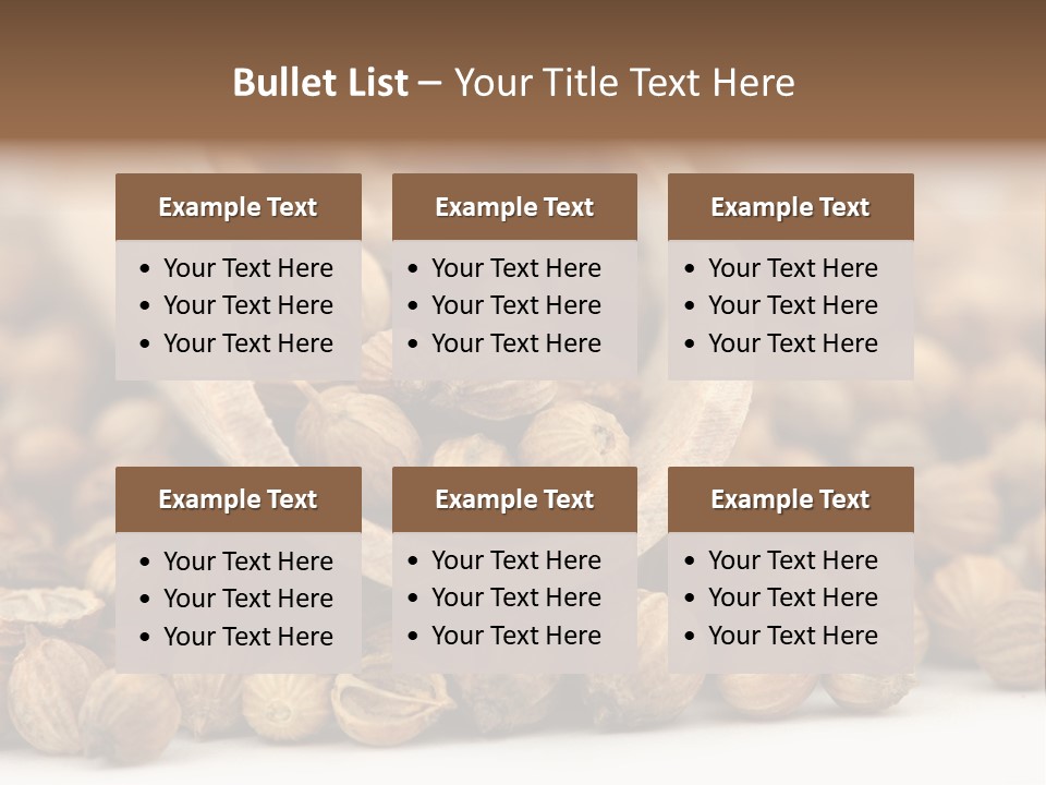 Spice Close Up Coriander PowerPoint Template