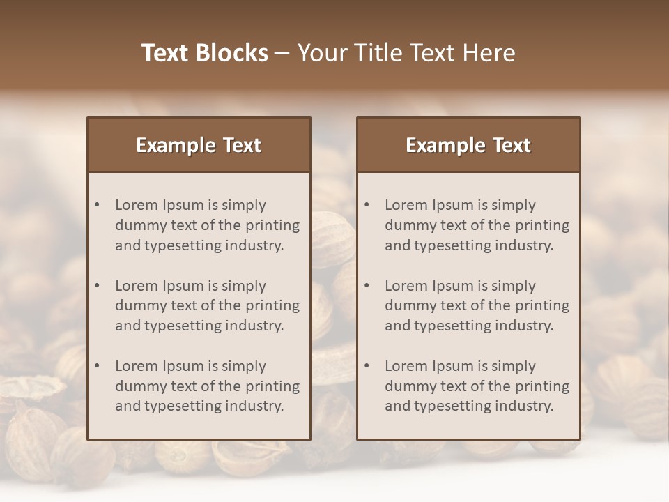 Spice Close Up Coriander PowerPoint Template