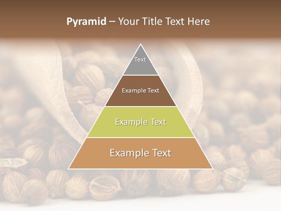 Spice Close Up Coriander PowerPoint Template