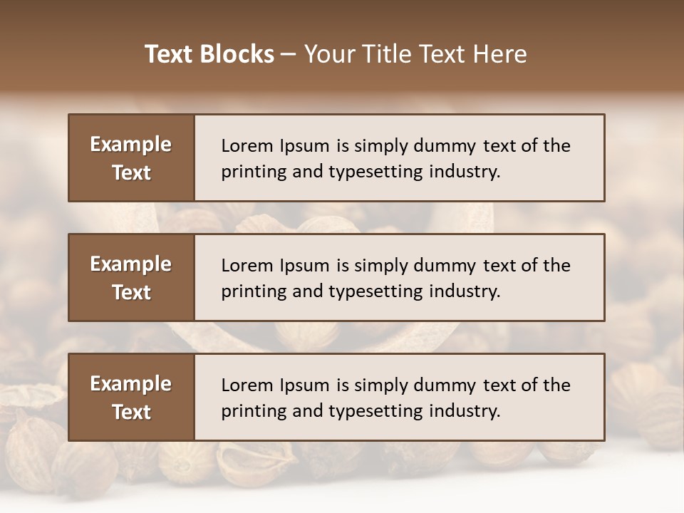 Spice Close Up Coriander PowerPoint Template