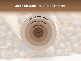 Spice Close Up Coriander PowerPoint Template