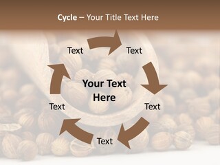 Spice Close Up Coriander PowerPoint Template