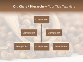 Spice Close Up Coriander PowerPoint Template