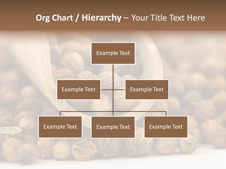 Spice Close Up Coriander PowerPoint Template