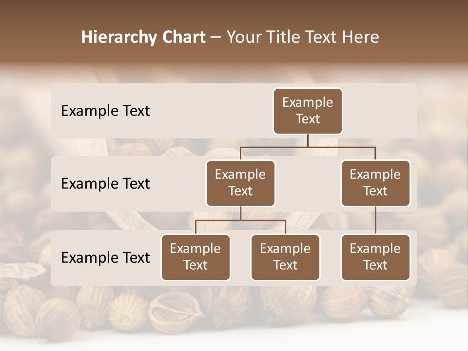 Spice Close Up Coriander PowerPoint Template