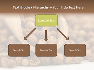 Spice Close Up Coriander PowerPoint Template