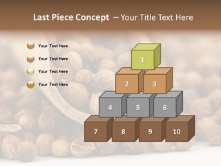 Spice Close Up Coriander PowerPoint Template
