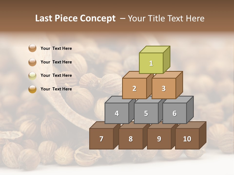 Spice Close Up Coriander PowerPoint Template