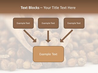 Spice Close Up Coriander PowerPoint Template