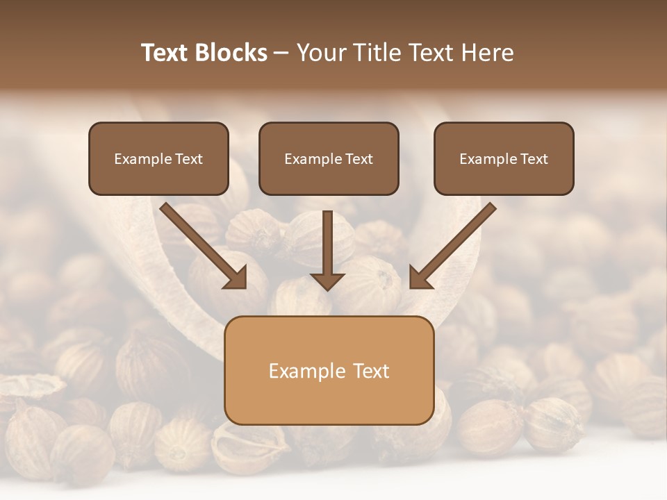 Spice Close Up Coriander PowerPoint Template