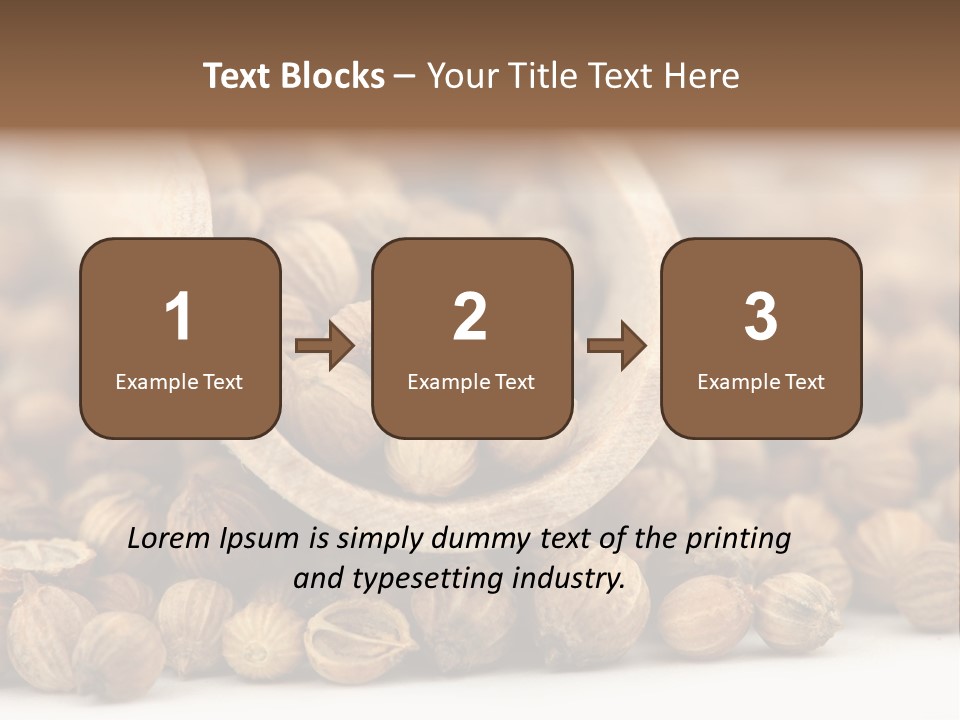 Spice Close Up Coriander PowerPoint Template