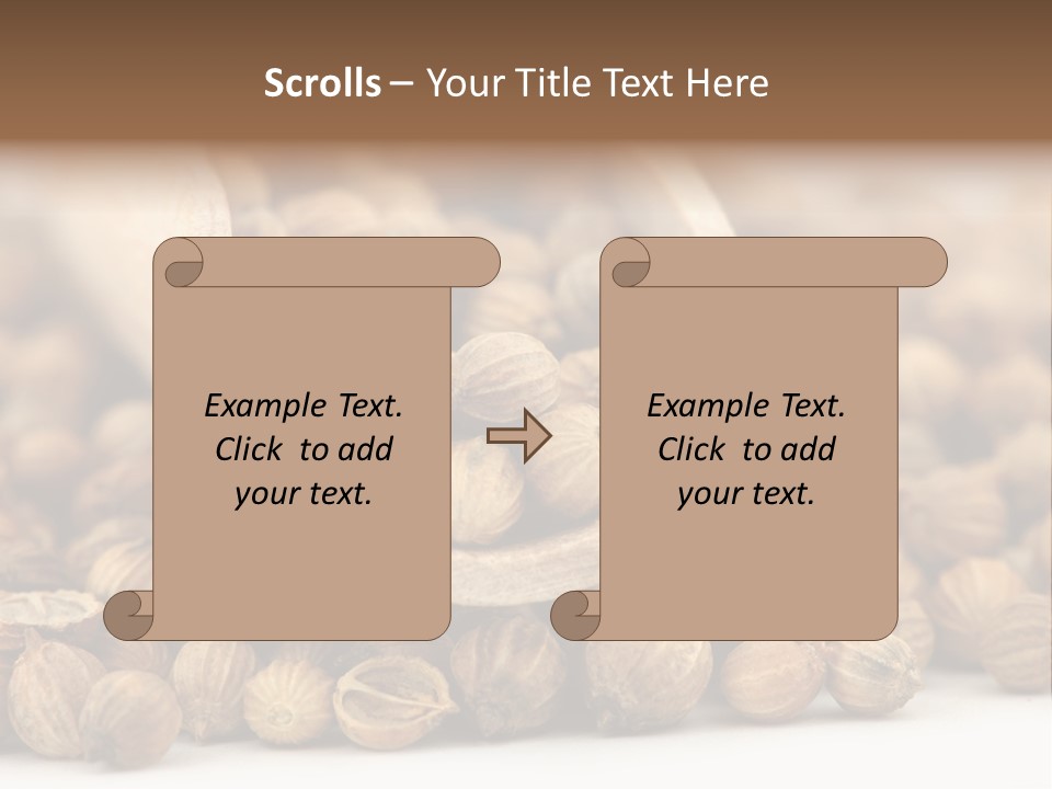 Spice Close Up Coriander PowerPoint Template