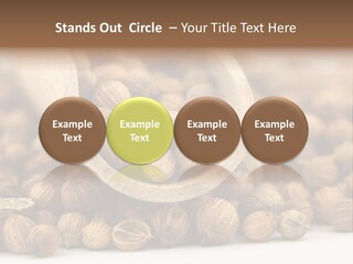 Spice Close Up Coriander PowerPoint Template