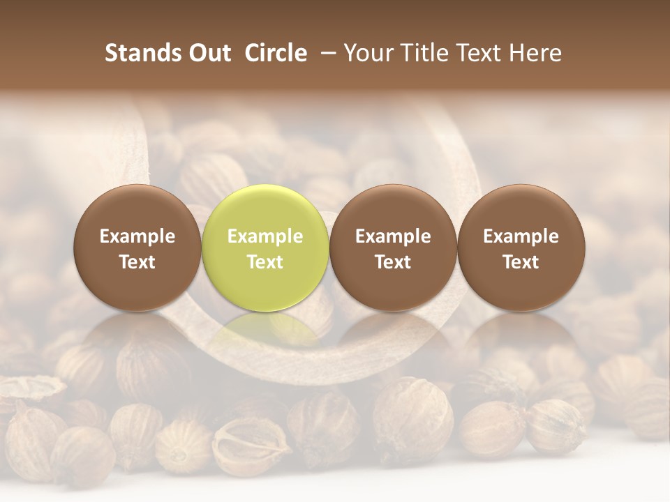 Spice Close Up Coriander PowerPoint Template