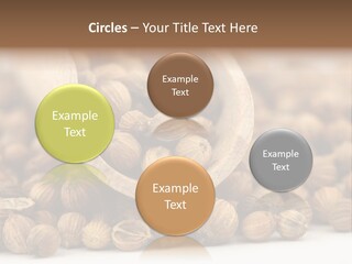 Spice Close Up Coriander PowerPoint Template