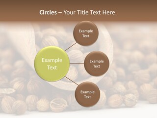 Spice Close Up Coriander PowerPoint Template