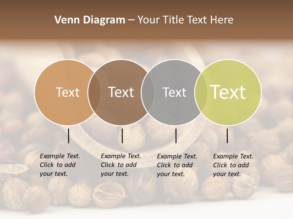 Spice Close Up Coriander PowerPoint Template