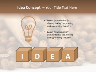 Spice Close Up Coriander PowerPoint Template