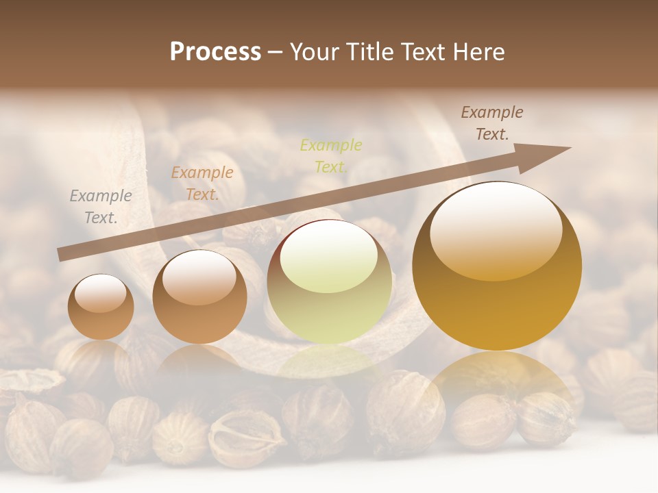 Spice Close Up Coriander PowerPoint Template