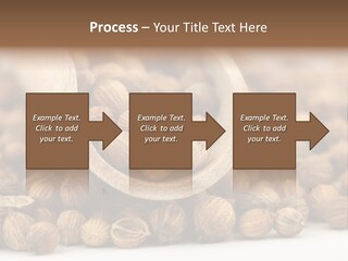 Spice Close Up Coriander PowerPoint Template