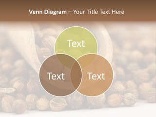 Spice Close Up Coriander PowerPoint Template