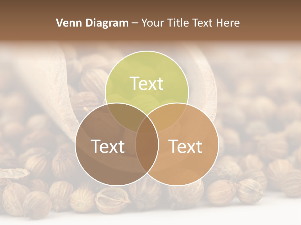 Spice Close Up Coriander PowerPoint Template