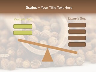Spice Close Up Coriander PowerPoint Template