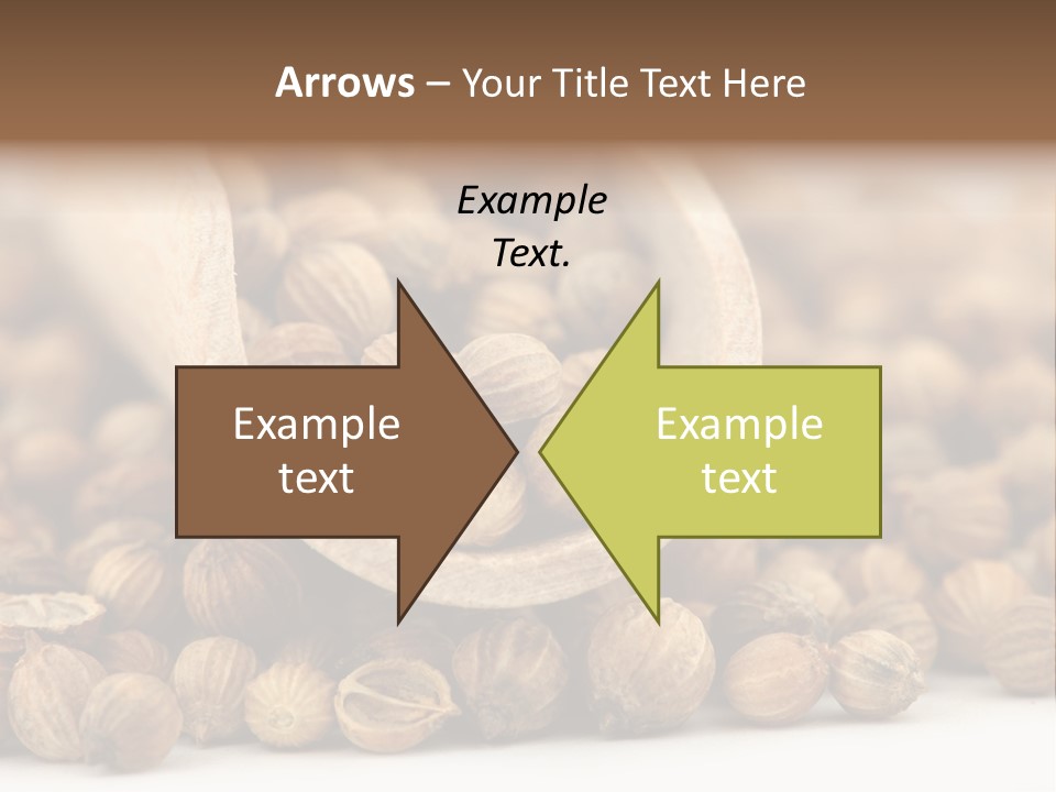 Spice Close Up Coriander PowerPoint Template