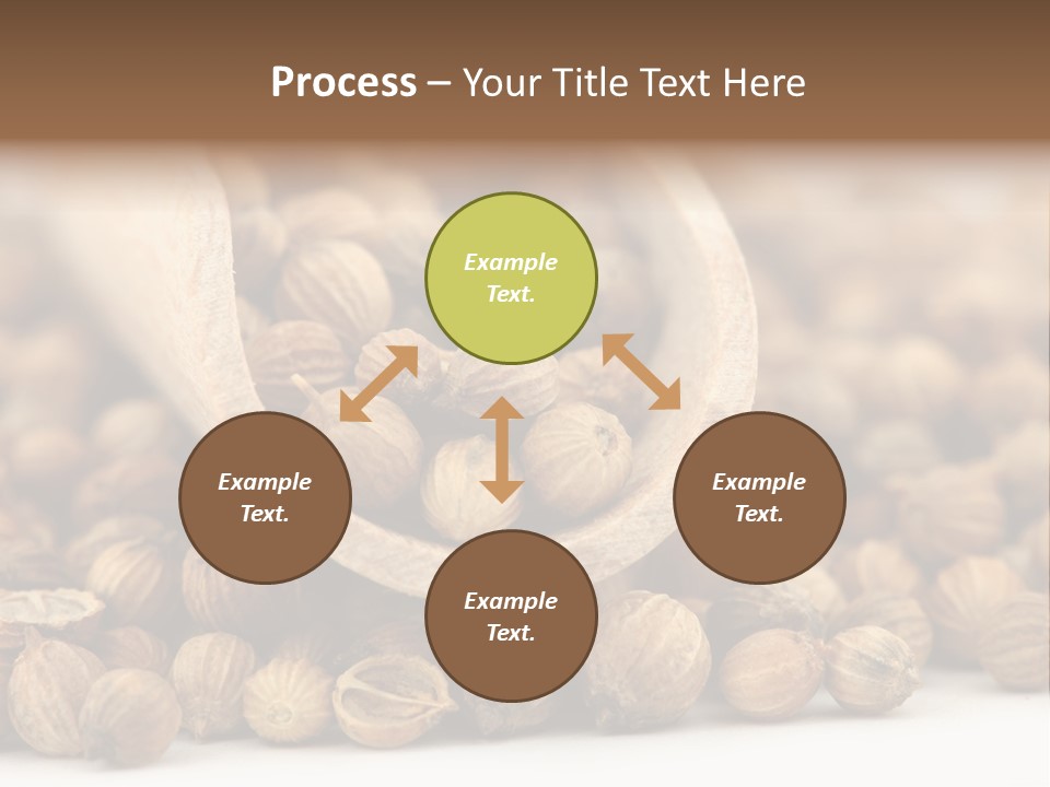 Spice Close Up Coriander PowerPoint Template