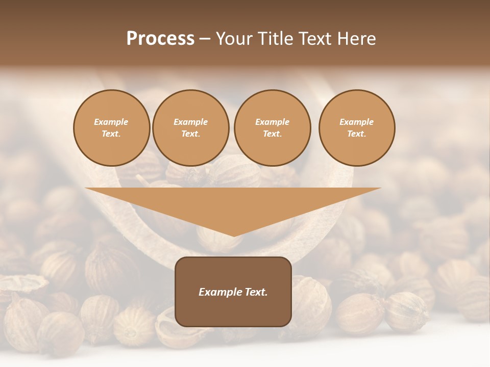 Spice Close Up Coriander PowerPoint Template