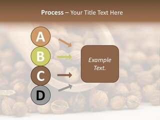 Spice Close Up Coriander PowerPoint Template
