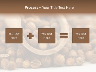 Spice Close Up Coriander PowerPoint Template