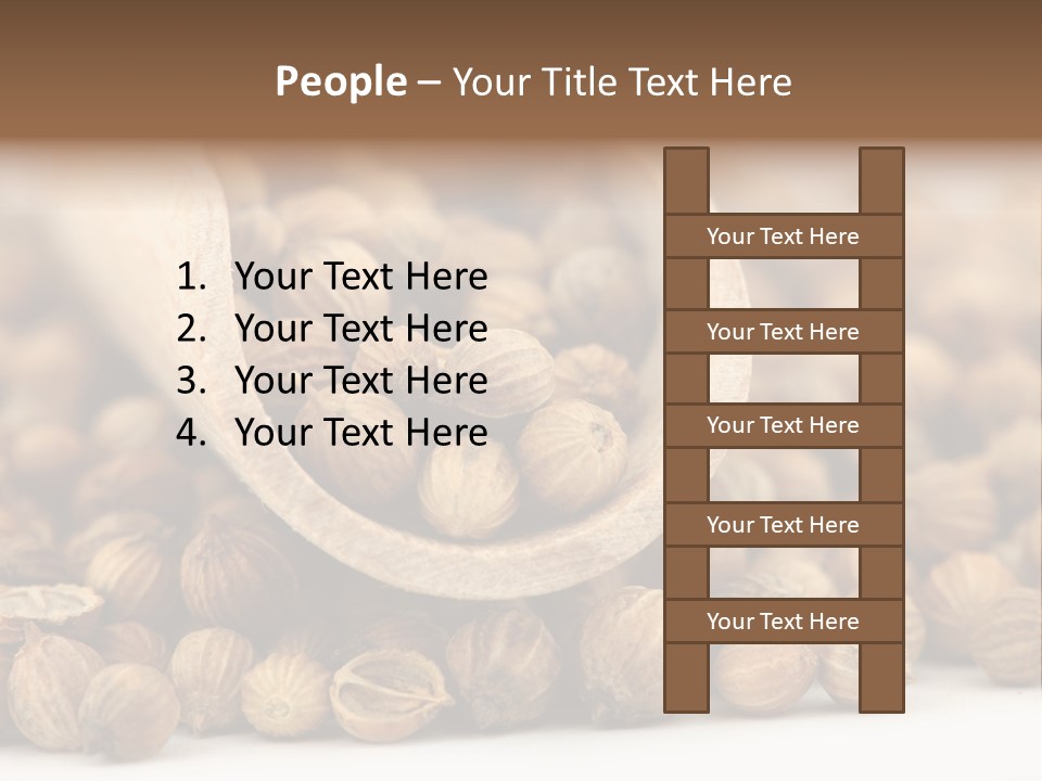 Spice Close Up Coriander PowerPoint Template