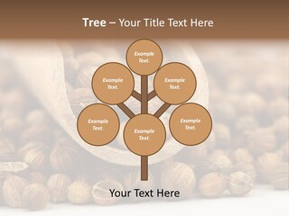 Spice Close Up Coriander PowerPoint Template