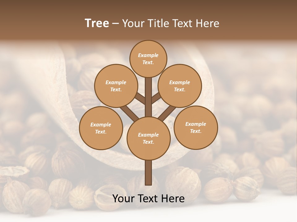 Spice Close Up Coriander PowerPoint Template