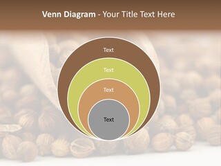 Spice Close Up Coriander PowerPoint Template