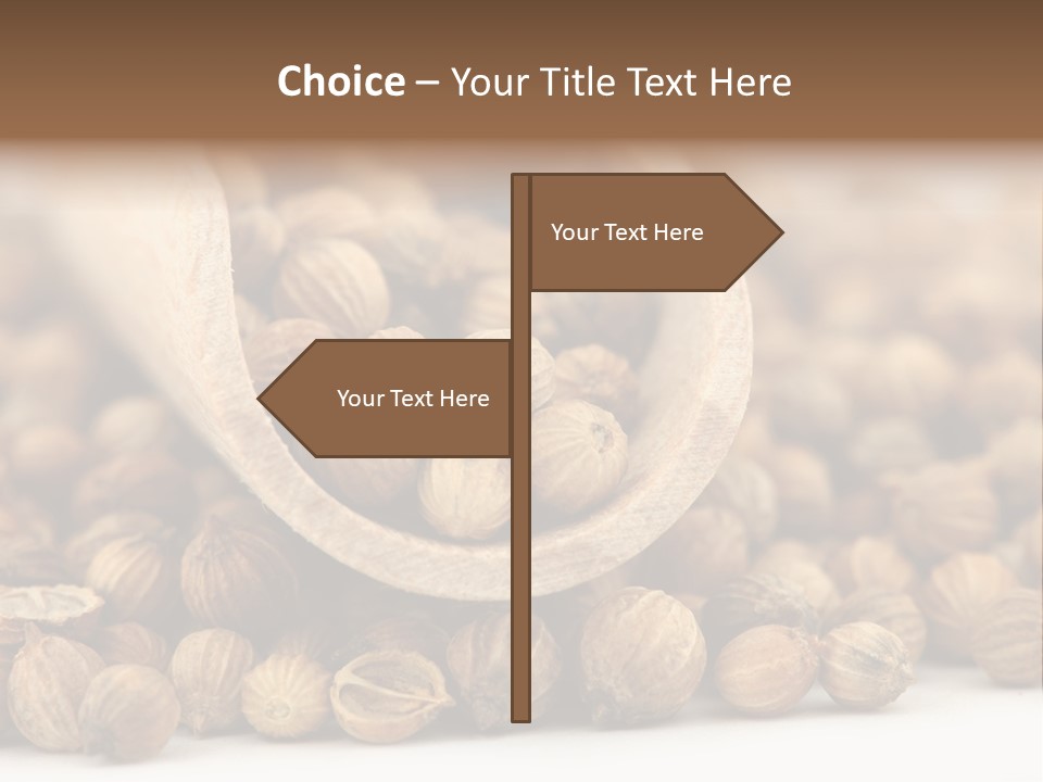 Spice Close Up Coriander PowerPoint Template
