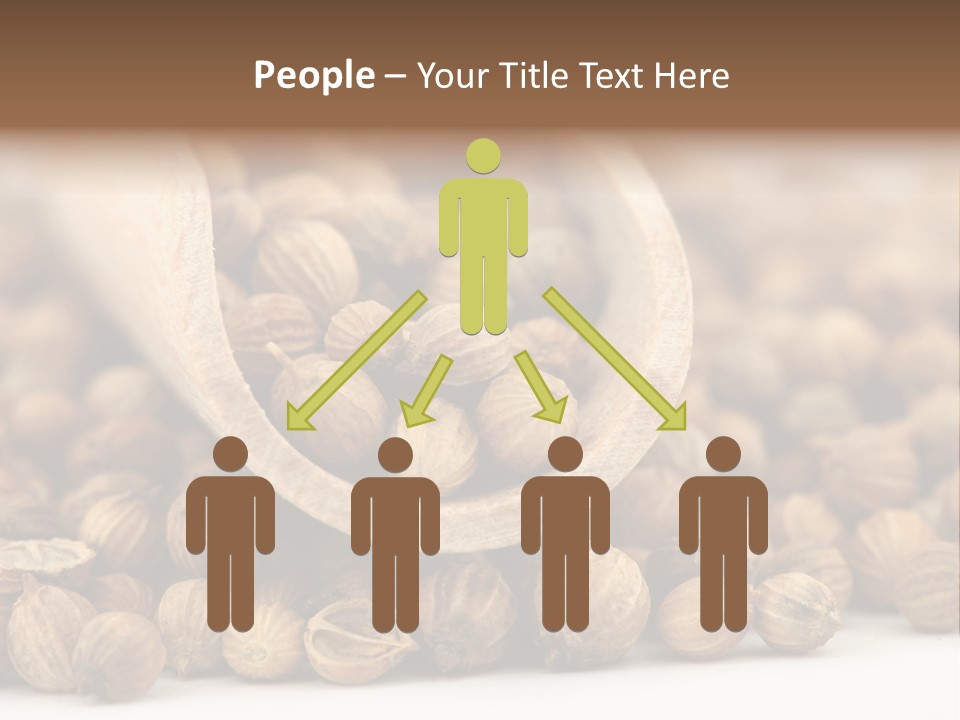 Spice Close Up Coriander PowerPoint Template