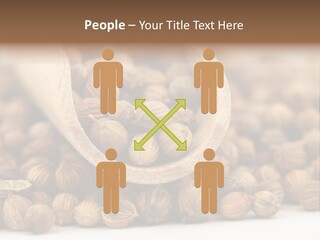 Spice Close Up Coriander PowerPoint Template