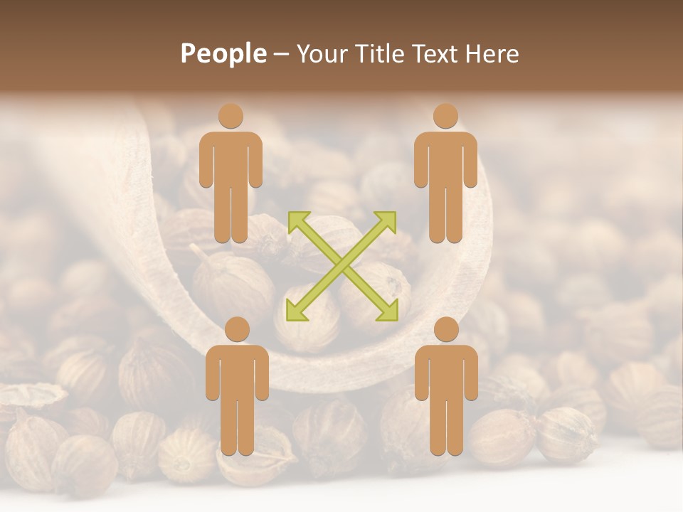 Spice Close Up Coriander PowerPoint Template