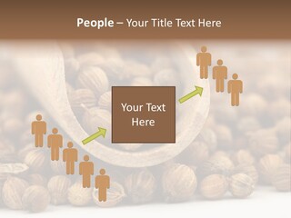 Spice Close Up Coriander PowerPoint Template
