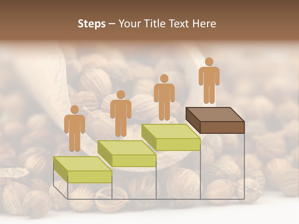 Spice Close Up Coriander PowerPoint Template