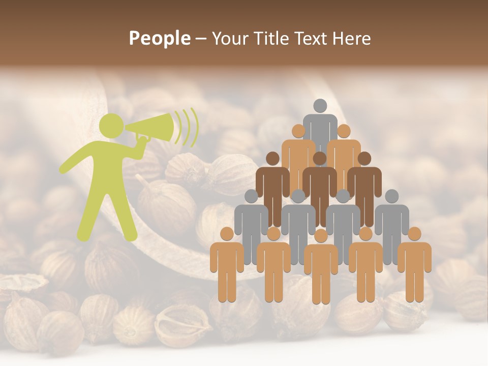 Spice Close Up Coriander PowerPoint Template