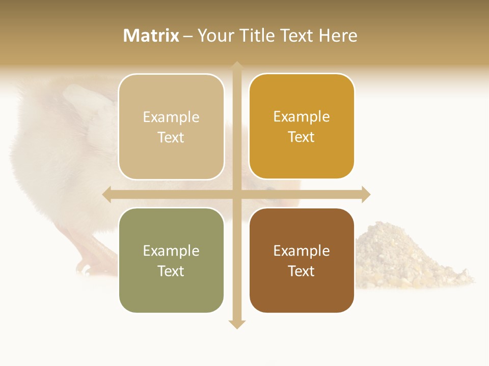 Fleecy Hen Hairy PowerPoint Template