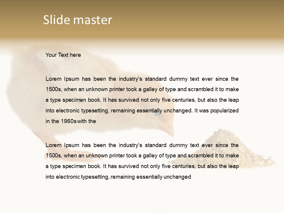 Fleecy Hen Hairy PowerPoint Template