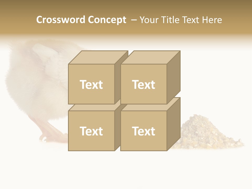 Fleecy Hen Hairy PowerPoint Template