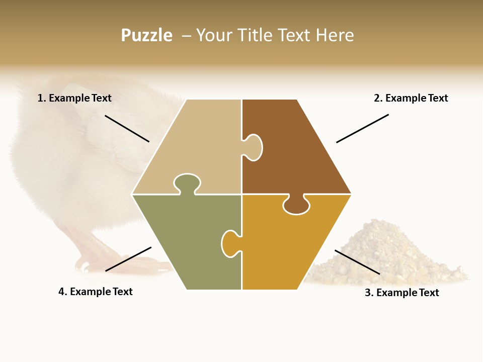 Fleecy Hen Hairy PowerPoint Template