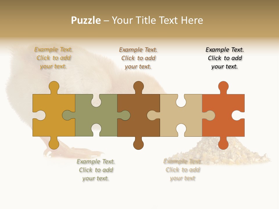 Fleecy Hen Hairy PowerPoint Template